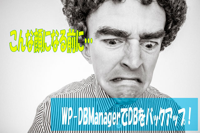 データベースを自動でバックアップするWP-DBManagerの設定と日本語化